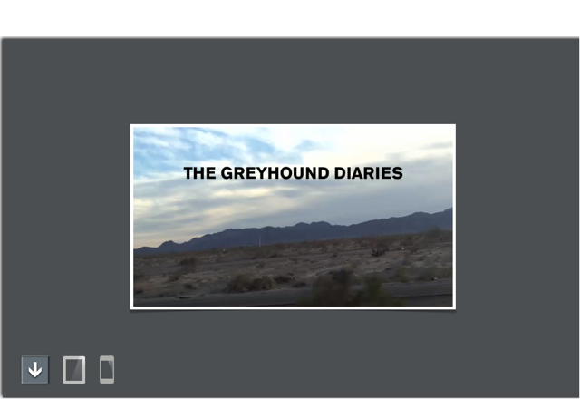 the greyhound diairies